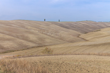Fototapeta premium Yellow fields and blue sky in Tuscany, Italy