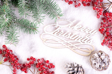 branches of a guelder rose  on snow with copy space