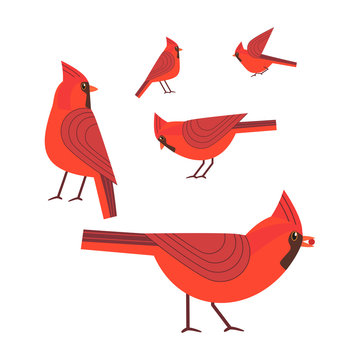 Red Cardinal birds icon set. Freehand cartoon cute style. Winter birds of city garden, parks collection. Stylized animal emblem. Element for banner background. Vector design of advertisement label