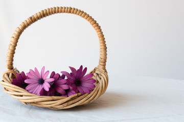 Purple daisies in small wicker basket on white tablecloth against white background
