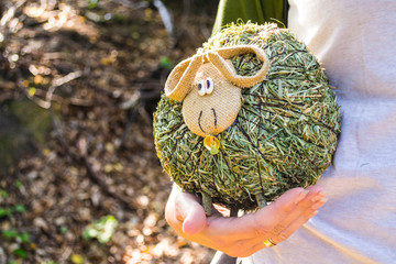 Grass ran on hand