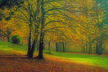 Naklejka premium Herbstlandschaft
