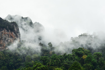 Landscape of mountains at Khao Sok National Park