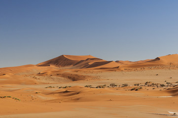 Dunes in the Namib Desert / Dunes in the Namib Desert to the horizon, Namibia, Africa.