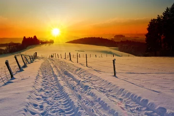Foto op Plexiglas Winter zonsondergang landschap met bomen en veldweg. © Swetlana Wall