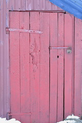 Closed wooden door-pink rorbu fishing hut-blue corrugated roof. Eggum-Vestvagoya-Lofoten-Norway. 0558