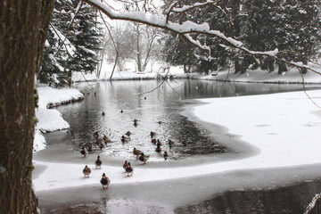 Winterlandschaft