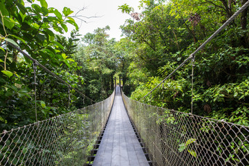 Obraz premium Wiszące mosty w Arenal Region - Kostaryka