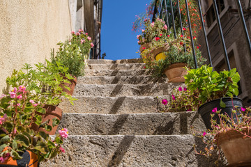mediterrane Treppe aus Stein geschmückt mit zahlreichen Blumen