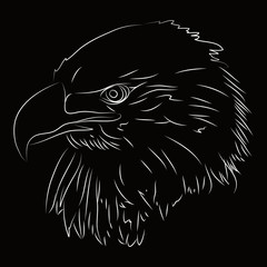 Águila dibujo a líneas