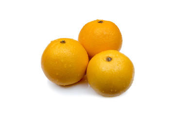 Oranges with leaf isolated on white.