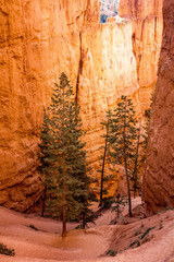 Bryce Canyon UT