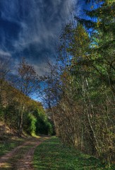 Chemin forestier à Saint-Romain, Jura, France