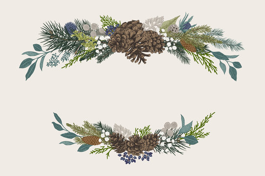 Winter set. Floral christmas compositions. Evergreen, cone, succulents, flowers, leaves, berries. Botanical vector vintage illustration. Colorful