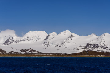 South Georgia landscape