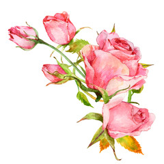 Isolated watercolor bouquet of pink roses.