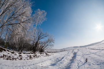 Trees in the frost against the blue sky and a winter landscape.