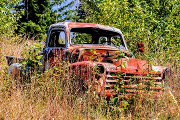 Old Rusty Truck in the Trees