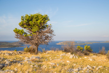 wunderschöne Wild-West Balkan Küsten Landschaft mit gelbem Gras, paradiesischer Küste und...