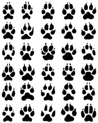Fototapeta premium Black print of dogs paws on white background, vector