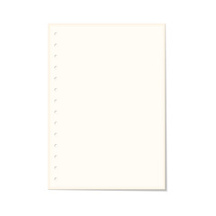 Realistic paper sheet from a notebook, vector illustration.