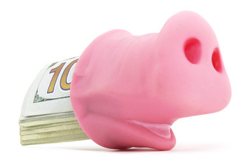 Pig Snout With Cash   © ImagePixel
