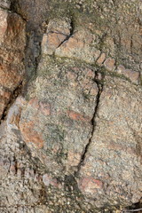 Texture of granite, abstract texture, stone, rocky background, natural pattern for designer, stone wallpaper, granite background, multi-colored granite, minimalism, art