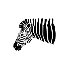 Vector of an Zebra head on a white background. Wild Animals.