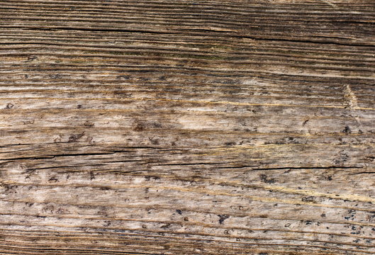 Rustic wooden fence texture background of natural brown and yellow colors