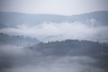 Autumn rain and mist in mountains. Morning fog