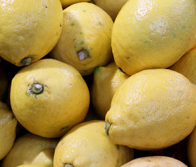 background of yellow lemons from mediterranean country
