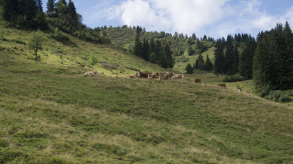 montagne