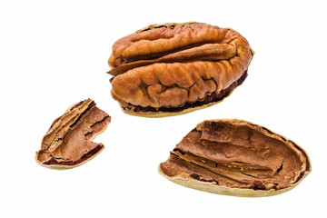 Cracked pecan macro shot