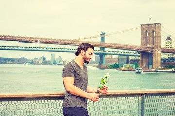 I missing you. American man with beard, wearing gray V neck T shirt, standing by fence at harbor in New York, looking down at white rose on hands, smiling, thinking. Bridges, boat on background..