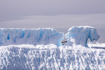 Fototapeta na wymiar Ice Formation resembling Blue Dogs in Antarctic Summer