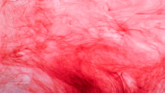 scarlet paint dissolves in the liquid. Slow motion
