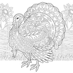 Coloring page of turkey and sunflowers on the farm yard. Freehand sketch drawing for Thanksgiving Day greeting card or adult antistress coloring book.