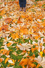 feet man in boots on fallen leaves/  male legs in leather boots on a background of yellow fallen leaves