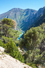 Fototapeta premium Gorge du Verdon in Provence