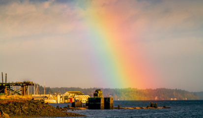 Puget Sound Rainbow