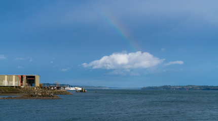 Puget Sound Rainbow