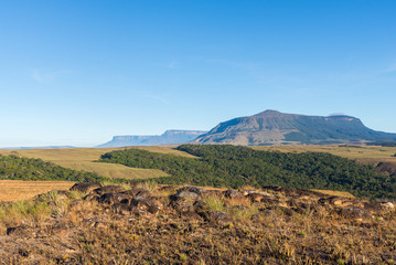 Morning view of Wei tepuy (The Mountain of the Sun, in local language), in Canaima Natinal Park, Venezuela