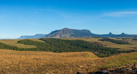 Obraz premium Morning view of Wei tepuy (The Mountain of the Sun, in local language), in Canaima Natinal Park, Venezuela