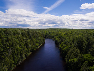 Fototapeta premium Flying Above a Michigan River