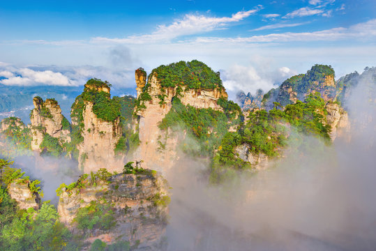 Fototapeta Trees on the colorful cliffs in Zhangjiajie Forest Park.