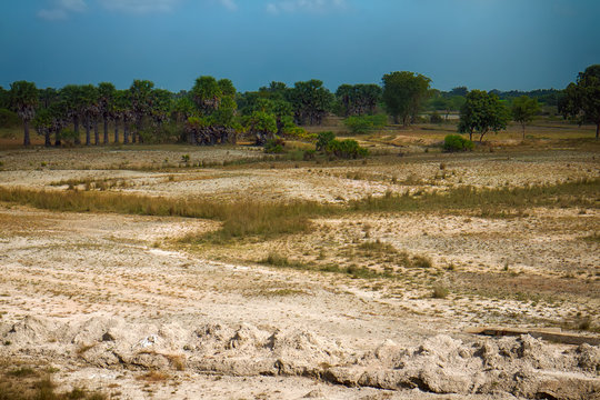 Salinity (kallar) and weak agriculture in South India