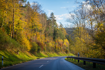 Fototapeta premium Autumn road with yellow forest and trees on hills
