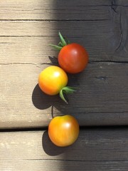 Fototapeta na wymiar Ripening tomatoes