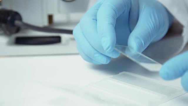 Close up crop shot of hands putting microscope glasses in box