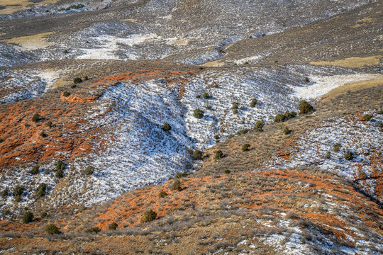 fall or winter scenery in Red Mountain Open Space
